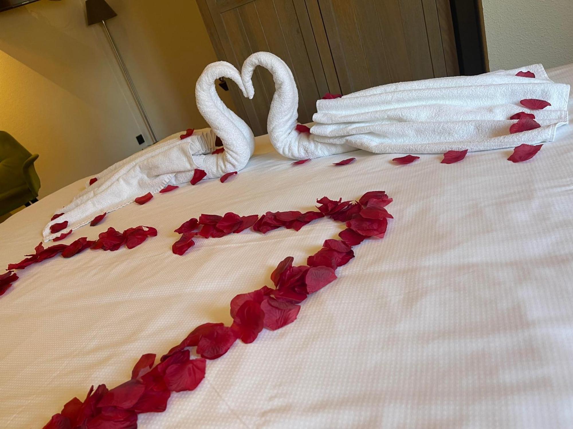 Lace Hotel Brugge Bagian luar foto